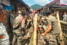 Tanpa Perlawanan, Lapak PKL Bandel di Kepahiang Dibongkar Satpol PP 