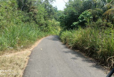 Jalan Temdak-Tertik Nyemak, Warga Harapkan Tebas Bayang