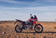 Honda CRF1100L Africa Twin Desain Lebih Ramping, Segini Harganya