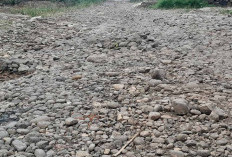 Bertahun-tahun Rusak, Jalan Kelurahan Pasar Ujung Butuh Perbaikan