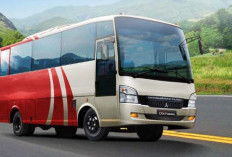 Mitsubishi Colt Diesel FE 84: Pilihan Populer untuk Bus Medium 29 Penumpang