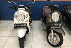 Harga Motor Bekas : Honda Scoopy Tahun 2016-2024, Cek di Sini! 