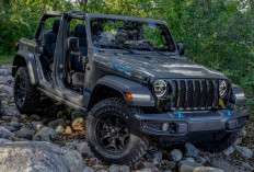  4 Varian Mobil Jeep Diesel Tunggangannya Para Don Juan