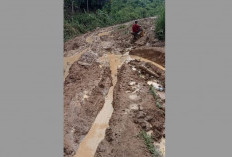 Jalan Langgar Jaya, Dinas PUPR Kepahiang: Belum Ada Info Pembangunan Seperti yang Dikatakan Kades