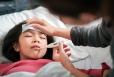 Rekomendasi Obat Tipes Ampuh yang Tersedia Diapotek