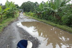  Jalan Sering Terendam Banjir, Masyarakat 4 Desa di Ujan Mas Meradang 