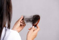 Rekomendasi Makanan untuk Mencegah Rambut Rontok 