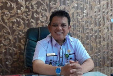 Cuaca Ekstrem, Waspada Serangan DBD dan Malaria, Ini Tips Dinkes Kepahiang 