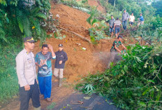 Material Longsor Setinggi 3 Meter dengan Panjang 15 Meter Menutupi Jalan Lintas Curup-Lebong