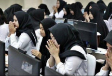 Hasil SKD CPNS 2024 Sekolah Kedinasan Diumumkan Agustus, Ada Sertifikatnya