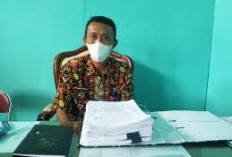 Tak Ada Laporan Soal PHK: Perusahaan di Kepahiang Stabil? 