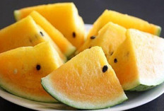 Manfaat Semangka Kuning yang Sayang untuk Dilewatkan