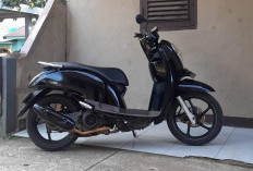 Beragam Kelemahan Honda Scoopy yang Jarang Diketahui 