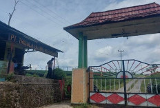  Tak Ada Kontribusi, Mampukah Pemkab Kepahiang Ambil Alih PT. TUMS?