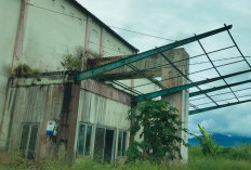 GOR Tebat Monok Kepahiang Rusak dan Tidak Terawat