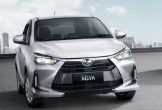 5 Mobil Toyota Terbaik untuk Pemula: Nyaman hingga Mudah Dikendarai