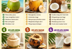 Jangan Asal Minum Kelapa! Beda Warna, Beda Khasiatnya