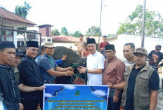 Bupati Fikri Serahkan Sapi Kurban ke Masjid Agung Baitul Makmur