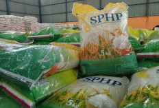 Bulog Hentikan Sementara Beras SPHP, Ini Alasannya