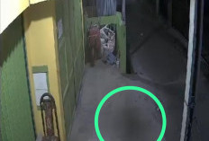 Viral !! Diduga Babi Ngepet Terekam CCTV di Kepahiang 