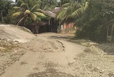 Pemprov Targetkan Jalan Provinsi di Bengkulu Tengah Mulus, Tapi... 