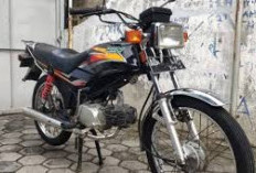  Wajib Tahu! Ini Kelebihan dan Kekurangan Honda Win