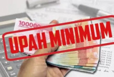  Disnakertrans Rejang Lebong Sosialisasikan UMK 2025, Perusahan Wajib Patuhi!