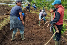 Pembukaan Badan JUT Desa Bandung Baru Dimulai