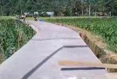 Cuaca Buruk Berdampak pada Pembangunan JUT Tanjung Alam 