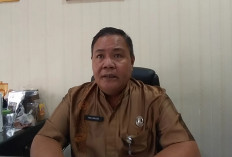 Tercatat Ada Ribuan, Tapi Hanya Sedikit UMKM yang Aktif di Kabupaten Kepahiang
