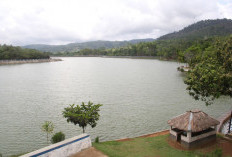 Baru Pengelola Danau Picung Setor ke Kas Daerah, Realisasi PAD Wisata Baru Rp 3 Juta