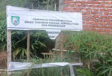 Bukan Satu Titik, Proyek Dinas TPHP Provinsi Bengkulu Membuat Warga Kepahiang Kecewa 