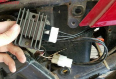 Kenali Gejala Kerusakan Kiprok Motor