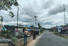 Cuaca Ekstrem, PLN Kepahiang Imbau Pelanggan 