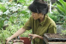 Mengenal Gaya Hidup Slow Living : Manfaat, dan Cara Memulainya Dengan Sederhana 