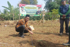 Sukseskan Program Sade Sahe: Pemdes Permu Bawah Kabupaten Kepahiang Tanam Jagung 