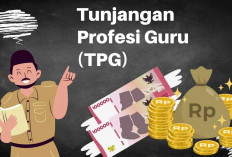  TPG di Bengkulu Tengah Belum Dibayar 3 Bulan, Termasuk Gaji ke-13 