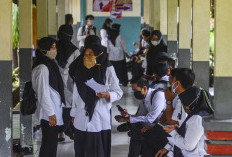 Wajar Honorer Ingin jadi ASN, Mari Lihat Aturan Penghasilan PPPK yang Sudah Dieksekusi