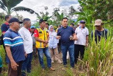  7 Kegiatan Pembangunan Jalan 2025, Pelebaran hingga Buka Jalan Baru