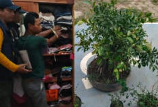 Gara-gara Bunga Bonsai, Nasib Pria Sumsel ini Berakhir Tragis 