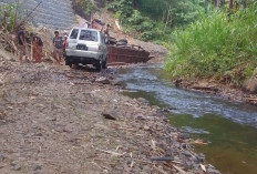  Truk Material Masuk Jurang di Kepahiang Sudah Dievakuasi, Begini Kondisi Sopir 