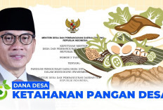 Program Ketahanan Pangan Dana Desa Diminta Disesuaikan Sesuai Potensi