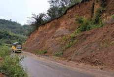  Pembebasan Lahan untuk Jalan Baru di Rimbo Pengadang Belum Bisa Dilaksanakan, Ini Kendalanya