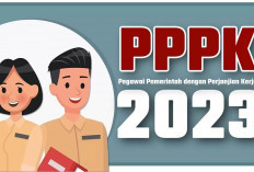 Lihat Kelulusan PPPK 2023, Ada 2 Cara Klik Link Ini