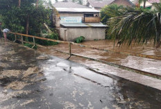  Cuaca Ekstrem Mengundang Berbagai Penyakit: Jaga Imunitas Tubuh dengan Obat Herbal Ini