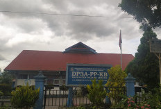 DP3AP2KB Rejang Lebong Siapkan Program Unggulan 2026: Fokus Perkuat Peran Perempuan dan Keluarga Sejahtera