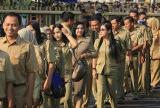 2025, PNS dan PPPK Termasuk Honorer Dapat Tunjangan Beras Per Bulan 