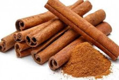 Beragam Khasiat Kayu Manis untuk Wanita 