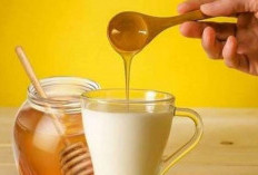 7 Manfaat Minum Susu Hangat Campur Madu untuk Kesehatan Tubuh 