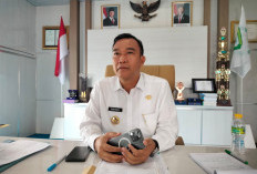 Penyaluran CSR Perusahaan Tidak Maksimal: Pemkab Kepahiang Bakal Lakukan Upaya Ini